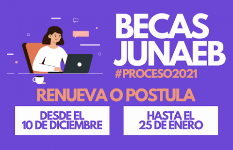 Becas JUNAEB, Proceso 2021